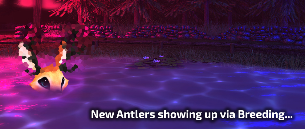 new-antlers-showing-up