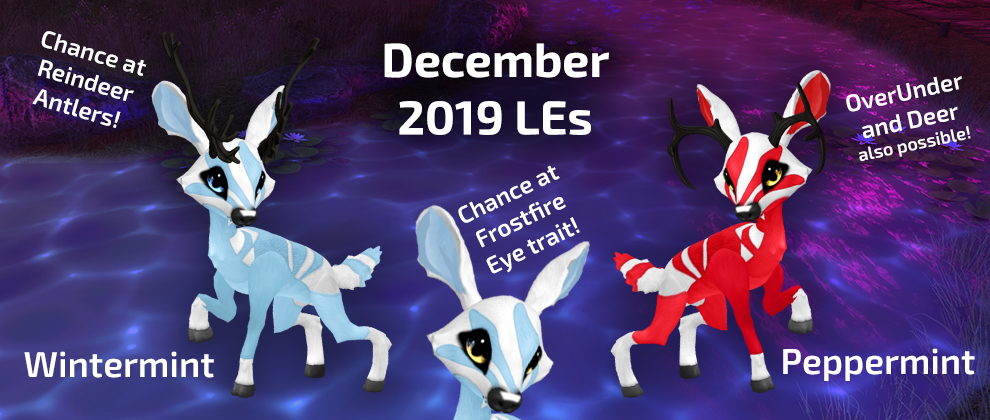 fawns-dec-2019-les