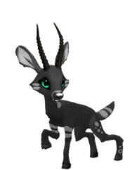 6a2a1cff798f0
