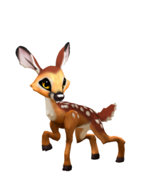 fawns image